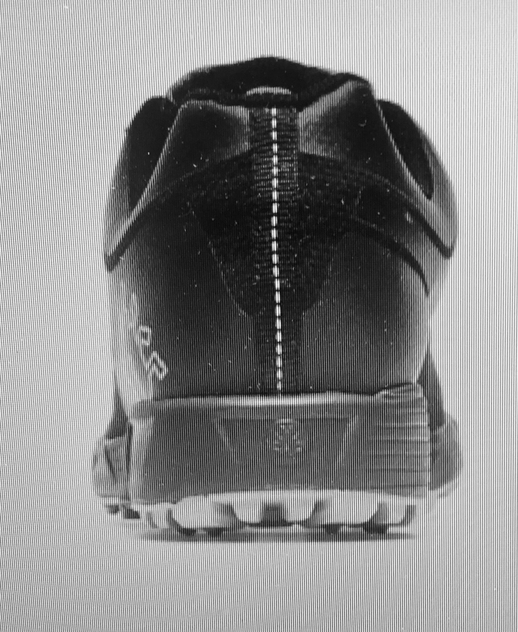 Icebug DTS3 BUGRIP GTX Men's